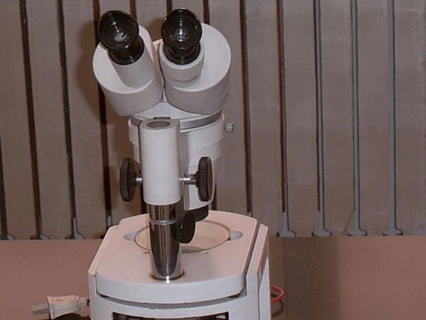 体视量微镜